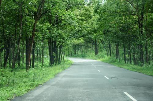 NH 766 Highway
